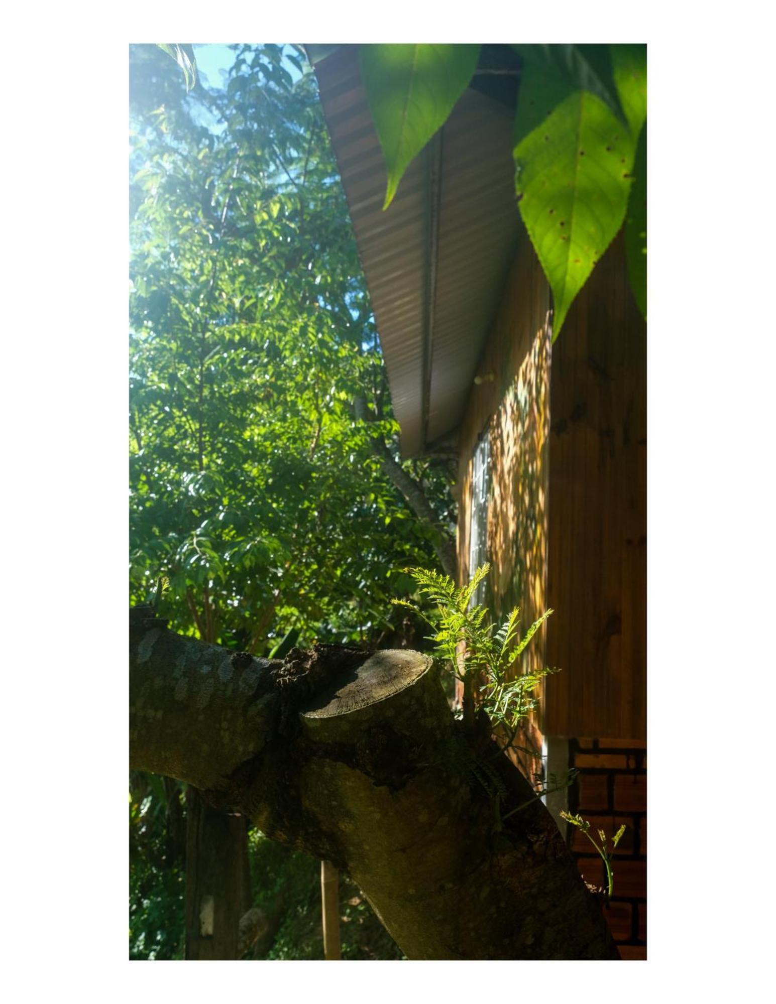 Nha Ben Ho - Da Lat Homestay المظهر الخارجي الصورة