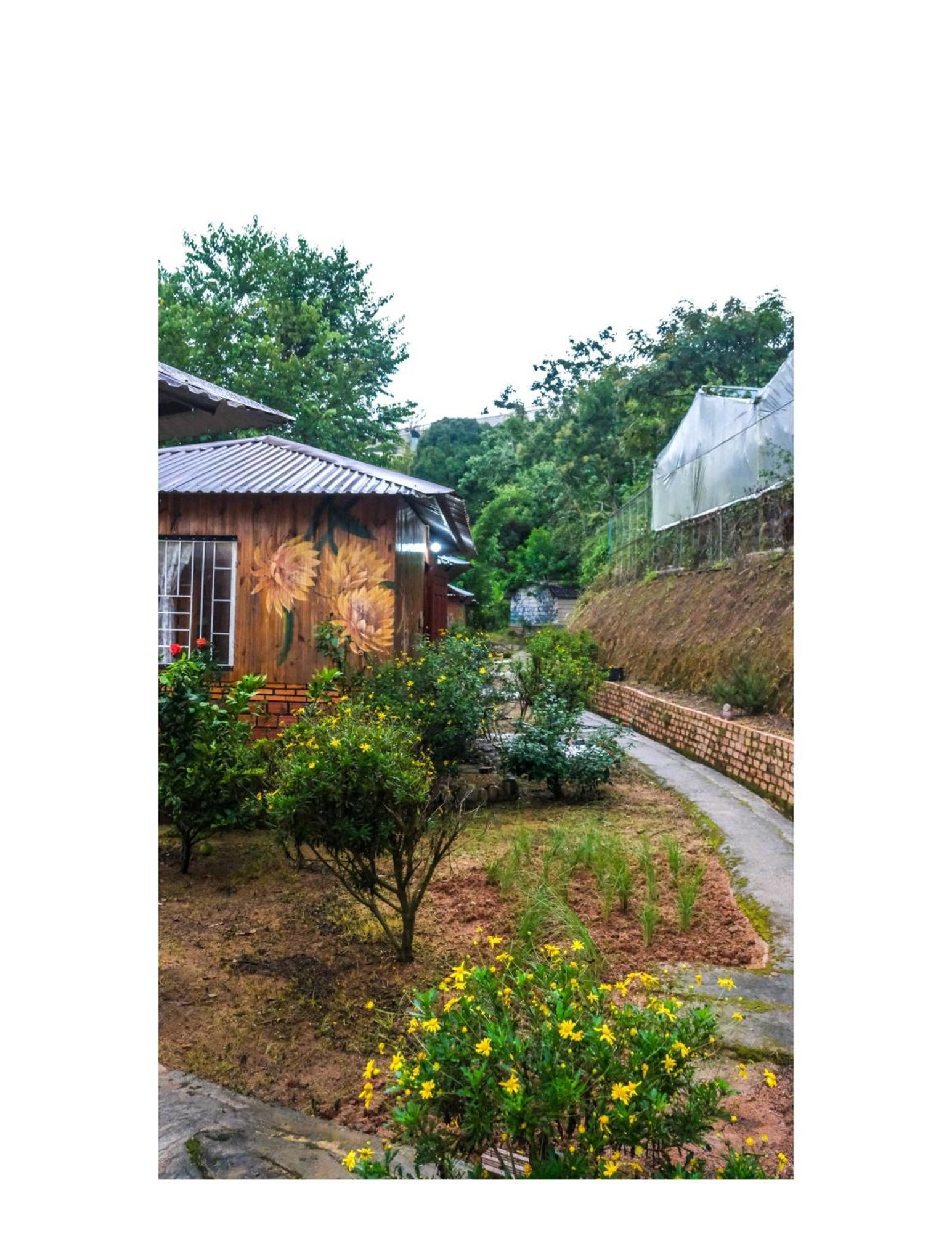 Nha Ben Ho - Da Lat Homestay المظهر الخارجي الصورة