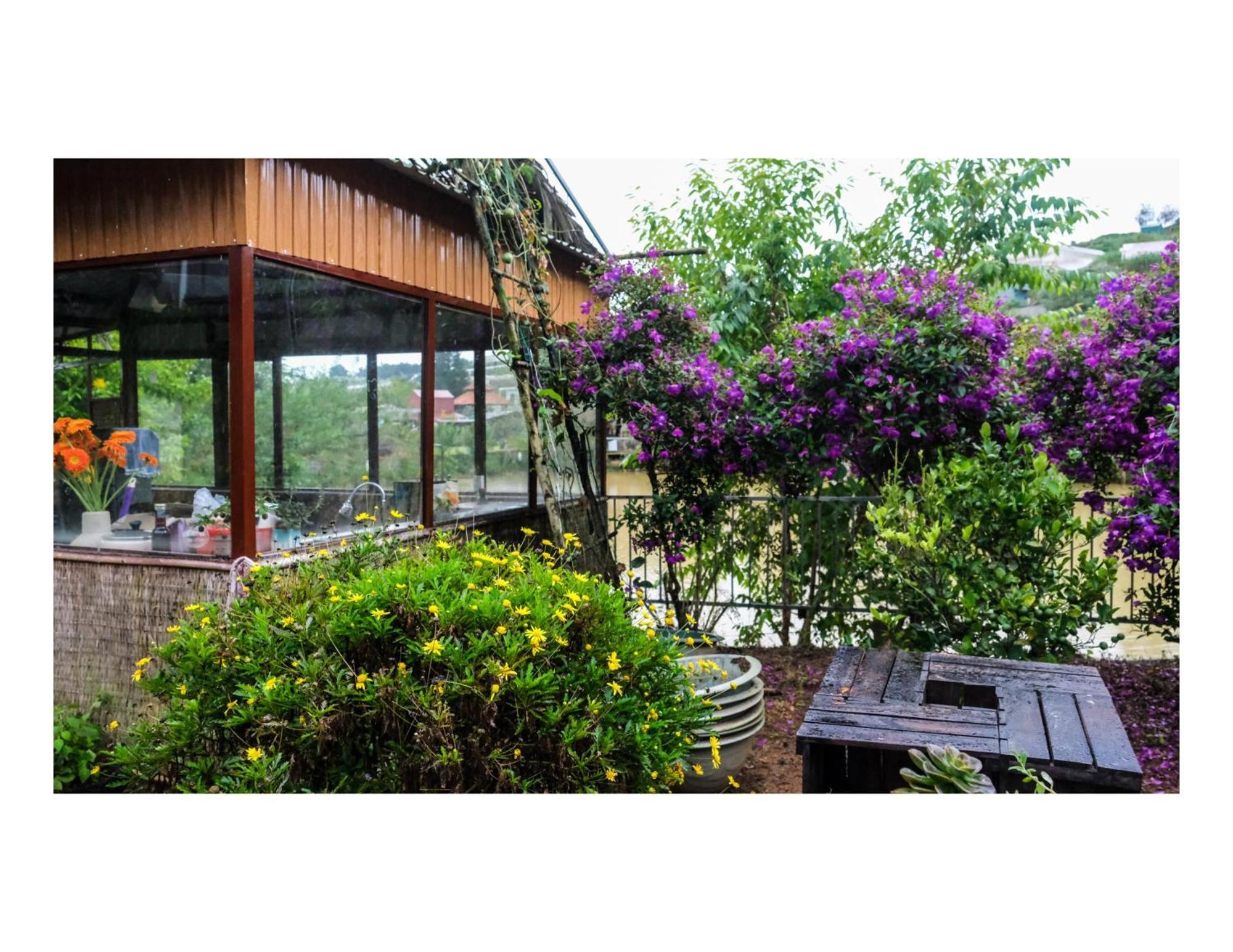 Nha Ben Ho - Da Lat Homestay المظهر الخارجي الصورة