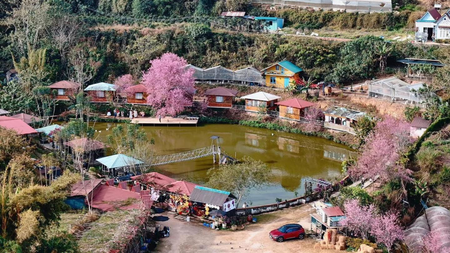 Nha Ben Ho - Da Lat Homestay المظهر الخارجي الصورة
