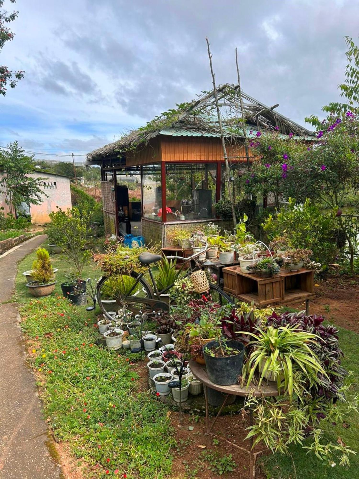 Nha Ben Ho - Da Lat Homestay المظهر الخارجي الصورة