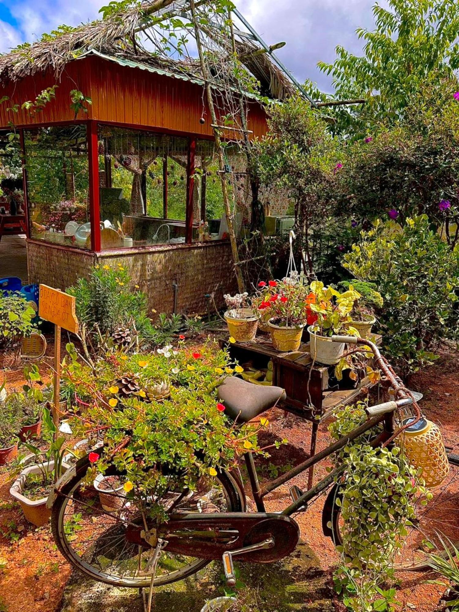 Nha Ben Ho - Da Lat Homestay المظهر الخارجي الصورة