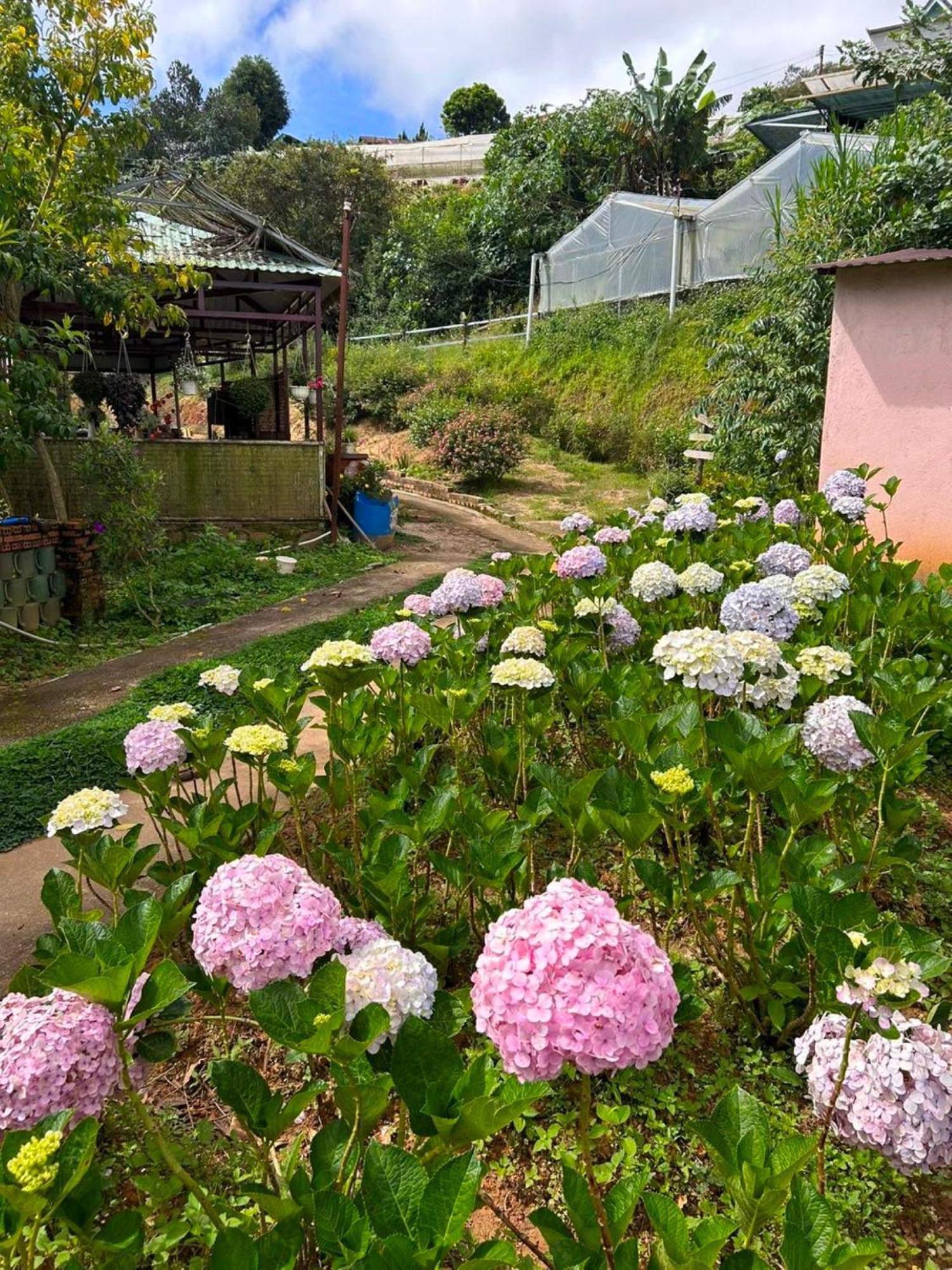 Nha Ben Ho - Da Lat Homestay المظهر الخارجي الصورة