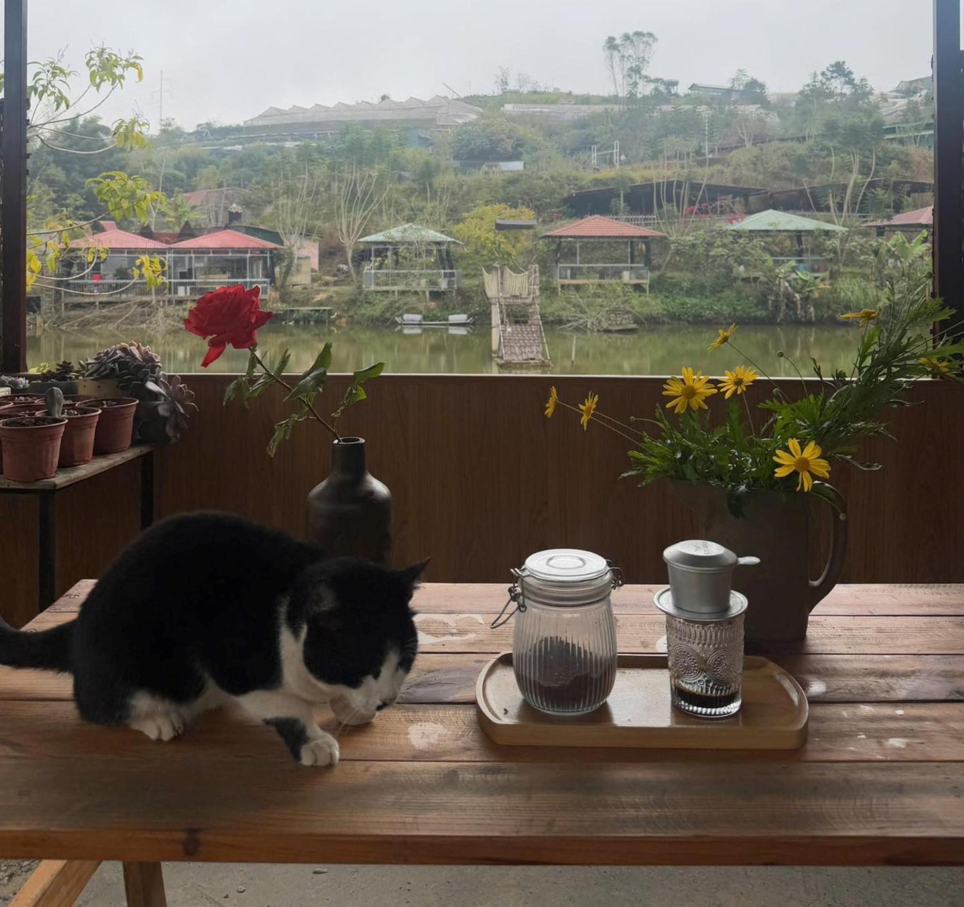 Nha Ben Ho - Da Lat Homestay المظهر الخارجي الصورة