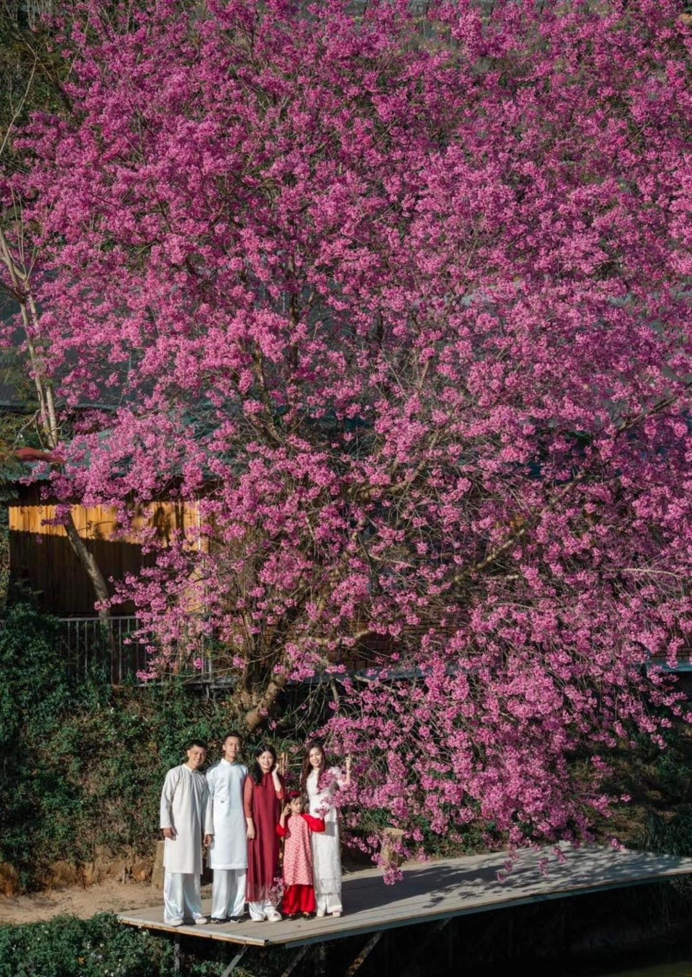Nha Ben Ho - Da Lat Homestay المظهر الخارجي الصورة