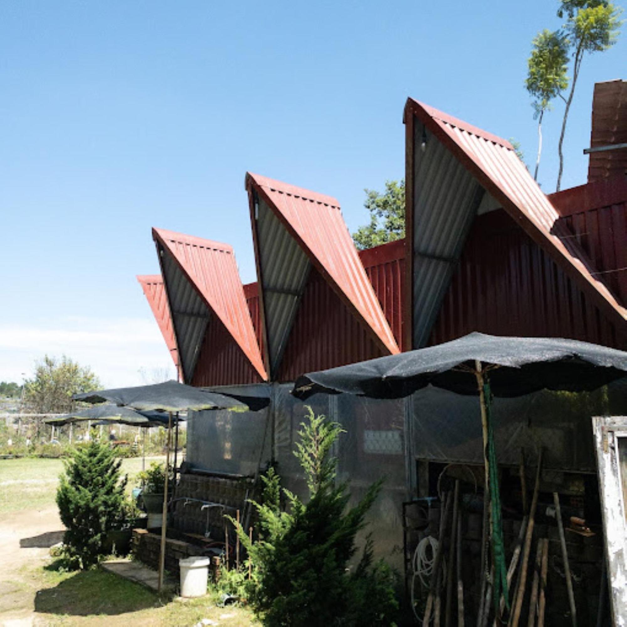 Nha Ben Ho - Da Lat Homestay المظهر الخارجي الصورة